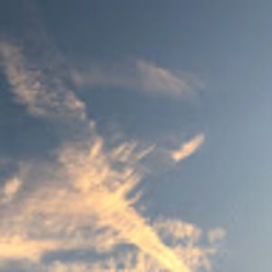 Meet your Posher, Kira